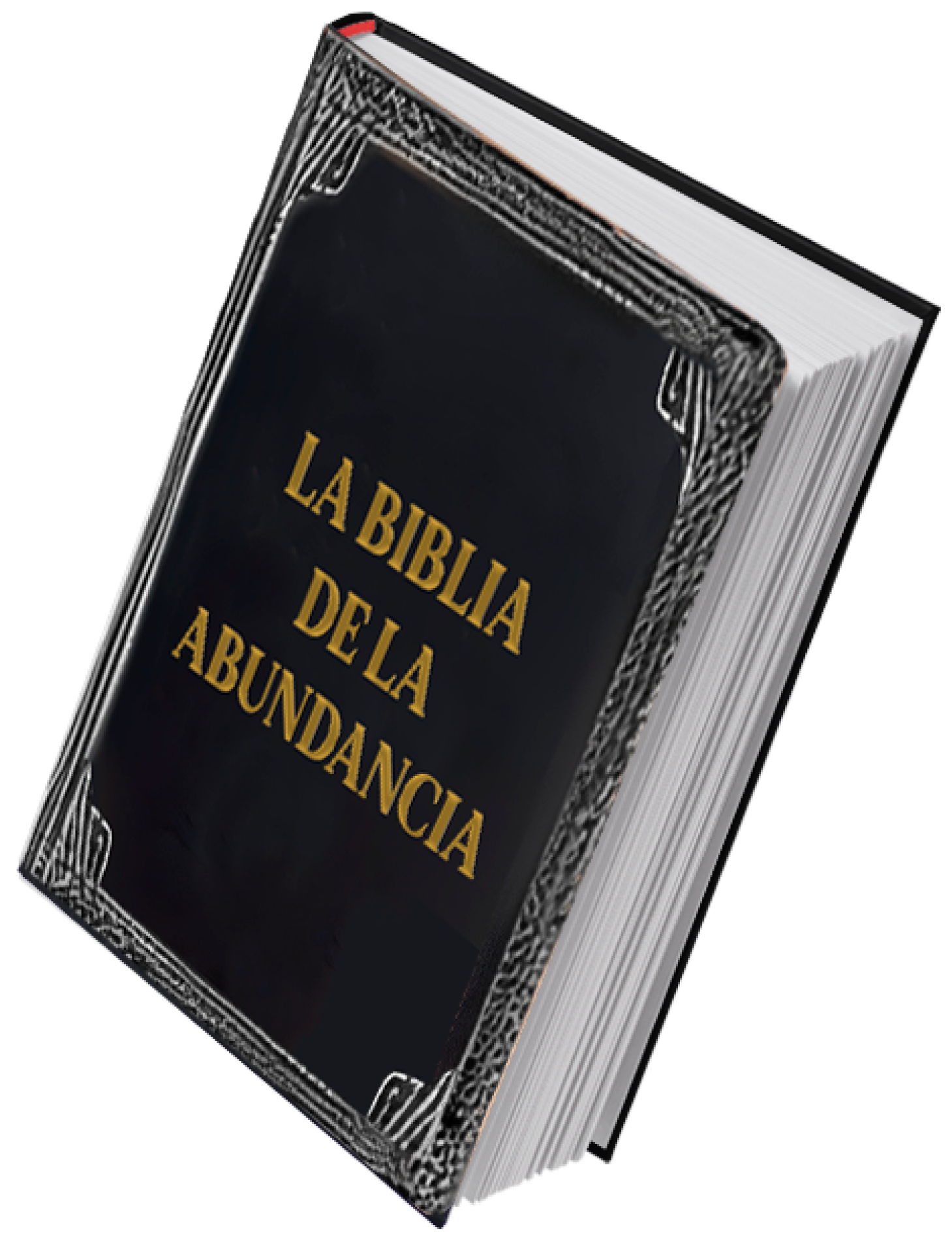 Biblia de la abundancia